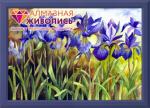 Blue Irises