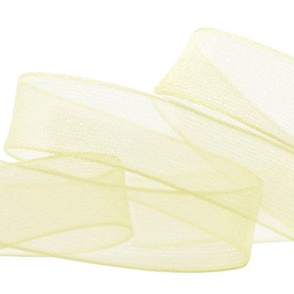 Nastro Organza con bordi rinforzati 10mm - Menta
