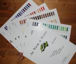 Cartella colori Soie Perlée