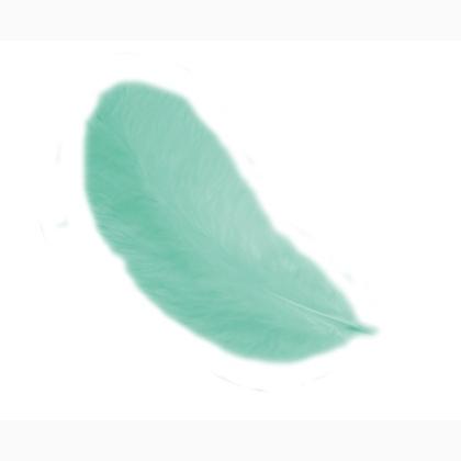 Piume 12 cm: Verde