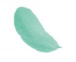 Piume 12 cm: Verde