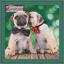 Pugs