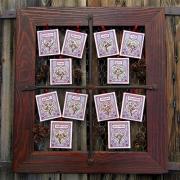 Amor per sempre