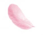 Piume 12 cm: Rosa