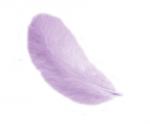 Piume 12 cm: Lillà