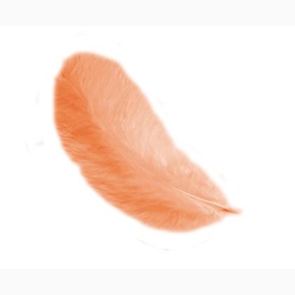Piume 12 cm: Arancione