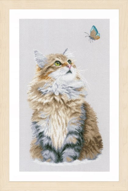 Forest Cat
