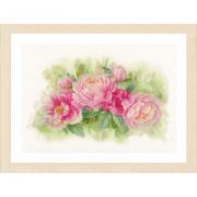 Bouquet of Peonies