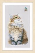 Forest Cat