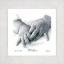 Baby Hands