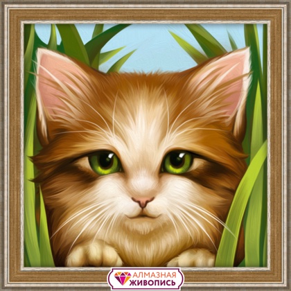 Green-eyed kitten