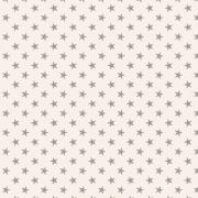 Tiny Star Grey