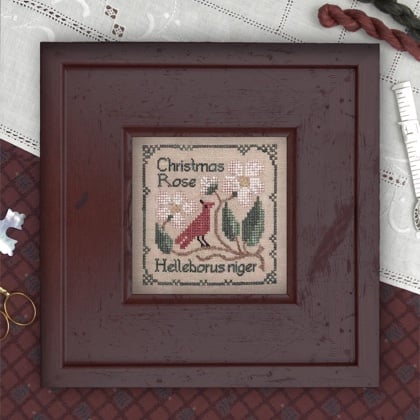 Christmas Rose - Botanical Stitches