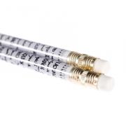 Lapis ecologico APLIQUICK ®™