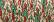 238 Christmas Kreinik Ribbon (1/16")