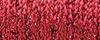 003HL Red High Lustre Kreinik Ribbon (1/8")