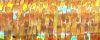 002L Chromo Gold Kreinik Ribbon (1/8")