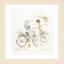 Ragazze in Bicicletta