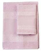 Coppia di spugne - Verona - Rosa