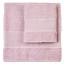 Coppia di spugne - Asti - Rosa