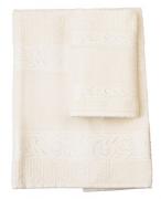 Coppia di spugne - Verona - Beige