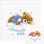Sampler Nascita - Snoozing Teddy Bear