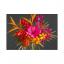 Kit Carta crespa - Tropical Garden Collection
