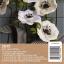 Kit Anemone di carta crespa