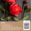 Kit Peonia di carta crespa