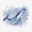 Deep Sea Life