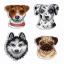 Who said woof? magnets