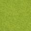 Feltro The Matcha
