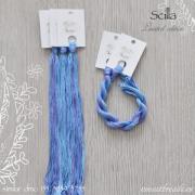 Scilla