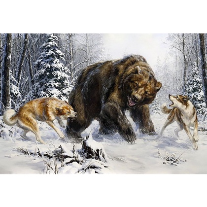 Huskies and Bear