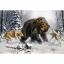 Huskies and Bear