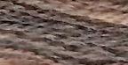 Simply Wool: Driftwood
