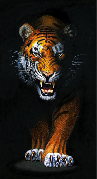 Stalking Tiger