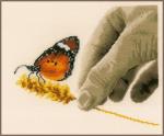 Mano e Farfalla