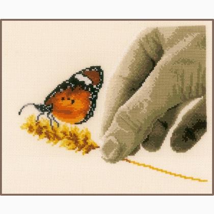 Mano e Farfalla