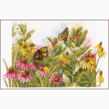 Echinacea e farfalle