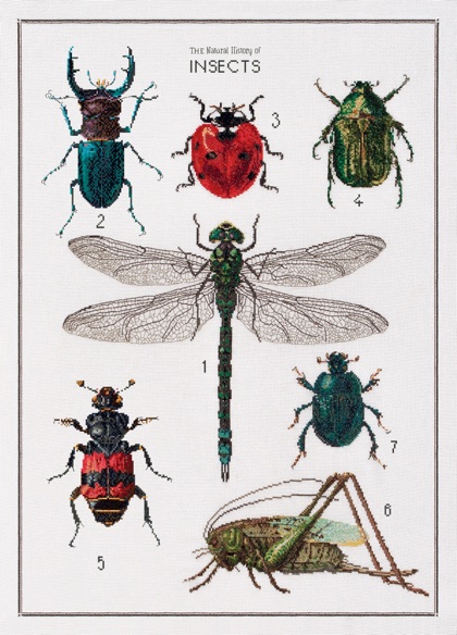 The History of Insects