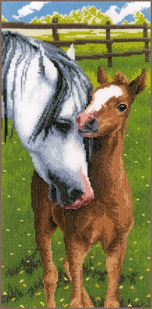 Cavallo e puledro