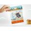 Gingerbread Man