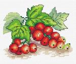 Red Currant
