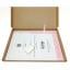 Orso polare - Kit Papercraft