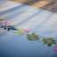 Runner - Fiori e foglie