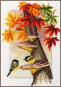 Cinciallegre in autunno