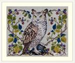 The Owl - Lucan