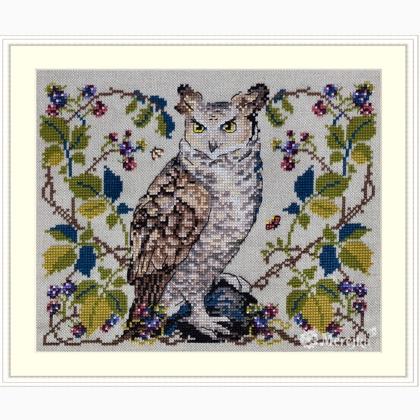 The Owl - Lucan