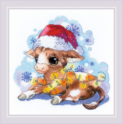 New Year\'s Calf